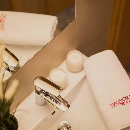 Malinowy Potok Hotel 3*