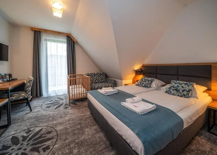 Hotel Malinowy Potok 3*