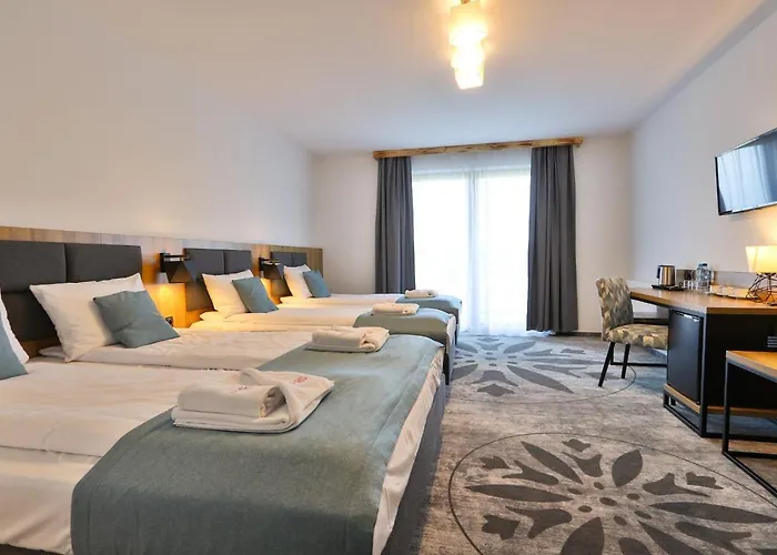 Hotel Malinowy Potok 3*